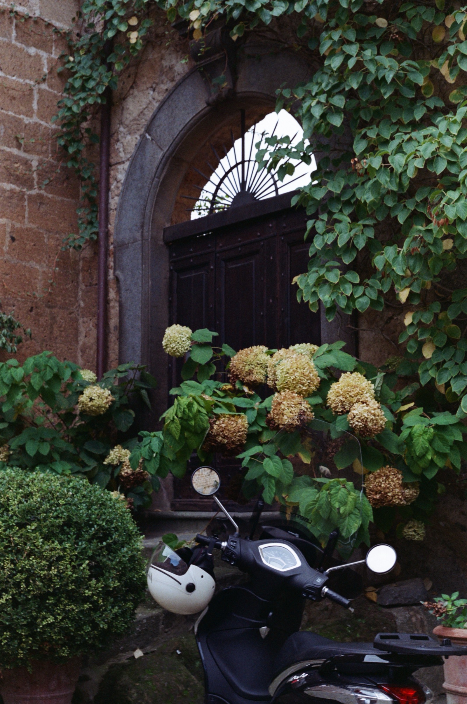 Reggio Emilia, Italy photo 2